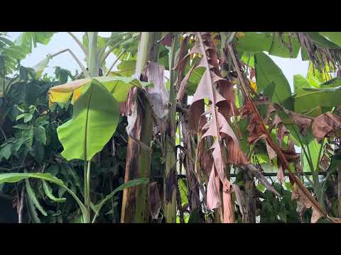 All is One (_hill73n_)