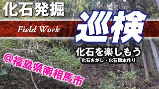 【巡検新フィールド】森の中でジュラ紀の化石を掘る！【南相馬市】