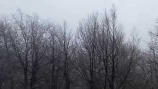 Fingers In The Noise - Lost In The Freezing Fog