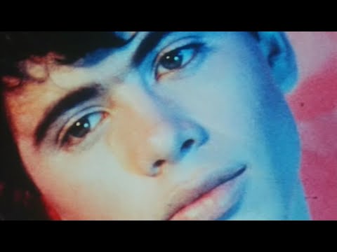 Gays in Film: The Politics of Aesthetics