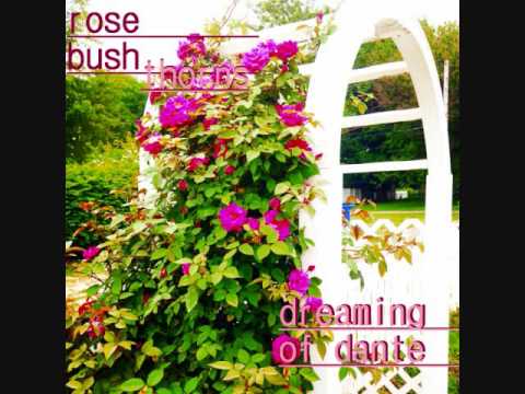 Rose Bush Thorns - Dreaming Of Dante