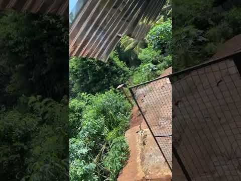 Welcome 🤗 Zakee #nature #arrahman #travel #love #waterfall