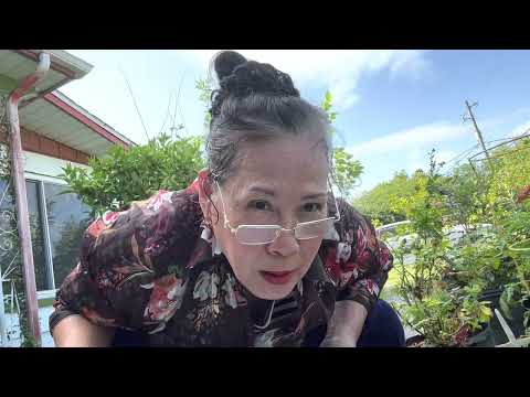 Bán củ Đông trùng thảo ở Jacksonville FL 04/26/2023