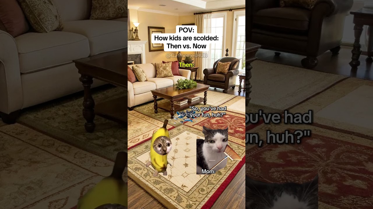 CAT MEMES 🐱How kids are scolded: Then vs. Now #catmemes #relatable #relationship