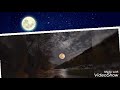 Chinna Chinna Kiliye Whatsapp Status