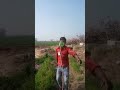 Dai Dai Re Languriya Ne Aisi Mar Dai