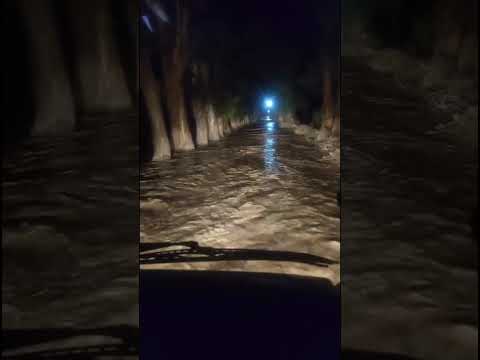 Así llegó la creciente a Zonda: cortes totales y prohibido circular