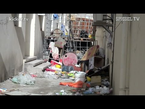 Vorwürfe von Amnesty International: Zwangsarbeit und Ausbeutung in Katar | SPIEGEL TV