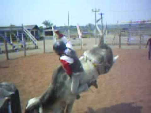 Treino dia 15 08 2010 na Estância Freire Primavera RO