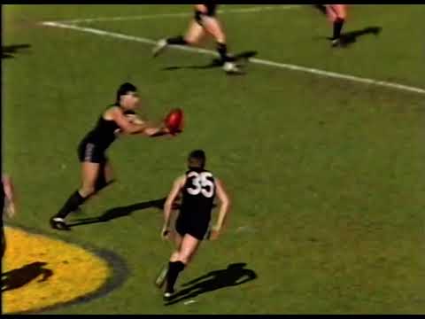 Carlton vs Melbourne R22 1986 Highlights