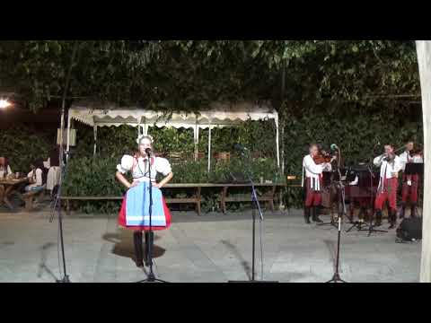 Prušánky 2018 - Předhodové zpívání - Vendula Tlachová - Brodil Jano koně