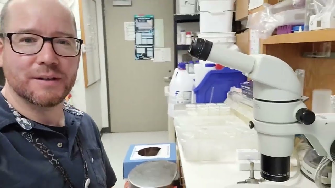 Developmental Biologist Jonathan Pickett (Get to Know a Scientist!)