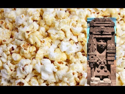 Mysterious Origins of Corn Update: 80,000 Year Old Pollen Fossils Found (Part 1)