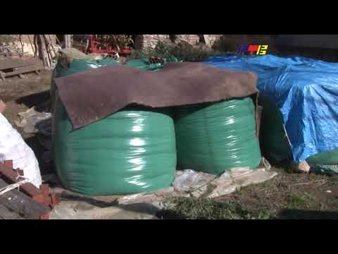 Isplativiji tov junadi RTV Vranje 20.10.2022.