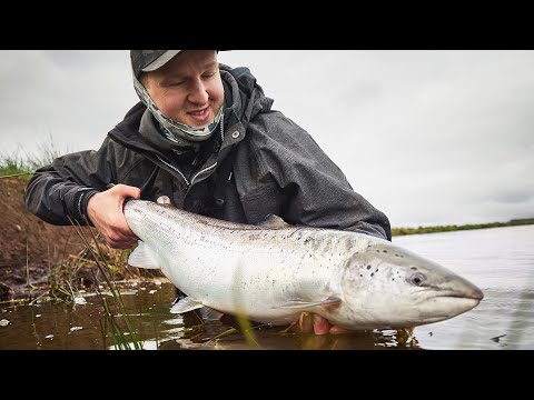 How To Catch A Salmon In Denmark - What Gear And Techniques?