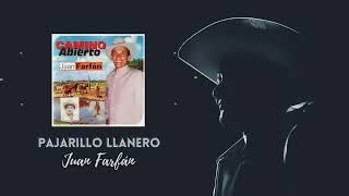 Pajarillo Llanero Lyrics English Translation