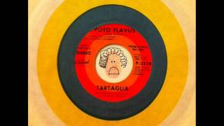 TARTAGLIA - POTO FLAVUS