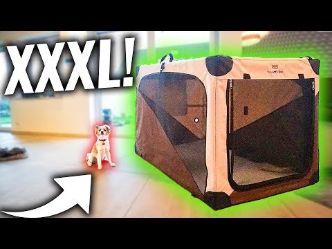 RIESEN Haus für WINZIGEN Hund gekauft! 😍
