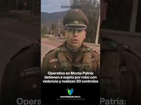 Carabineros refuerza presencia en Monte Patria: operativo deja dos detenidos