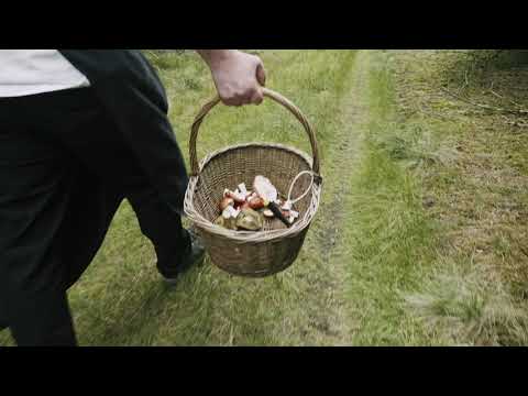 HR SKOV coverreklame 30sek