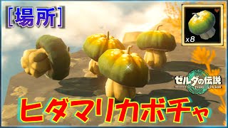 【ゼルダの伝説ティアキン】「ヒダマリカボチャ」が売っている場所
