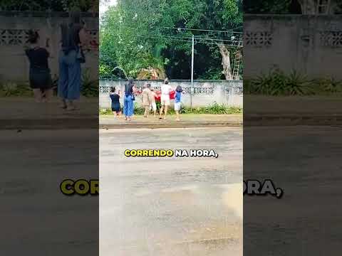 Gato se joga de 25 METROS DE ALTURA após ficar preso em árvore