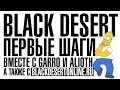 Black Desert -- Первые шаги от портала GoHa.Ru 