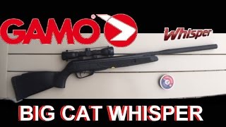 Gamo Big Cat Whisper