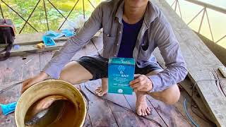 Viên Sủi Dụ Cá Fishbait