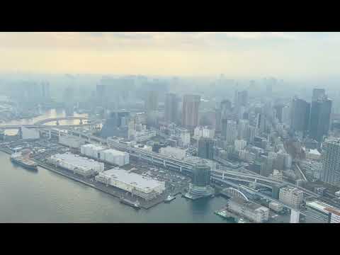 Helicopter Flight Tokyo Sky tour