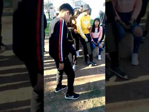 Maxi mc vs herny 8vos