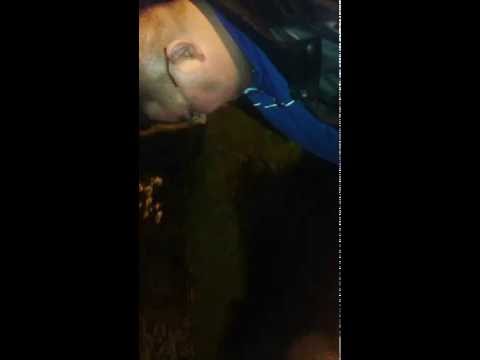 Z i Ł Freestyle Spontan