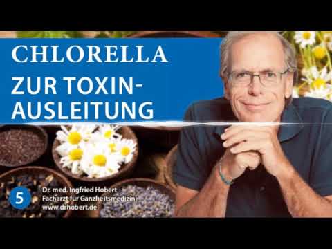 So entgiftest du richtig - Dr. Med. Ingfried Hobert - Podcast 5