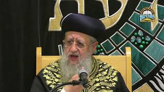 האם מותר להוסיף מים לחמין שעומד לישרף I מרן הראשון לציון הגאון רבי דוד יוסף שליט"א #הראשון_לציון (מוסדות יחווה דעת) - התמונה מוצגת ישירות מתוך אתר האינטרנט יוטיוב. זכויות היוצרים בתמונה שייכות ליוצרה. קישור קרדיט למקור התוכן נמצא בתוך דף הסרטון