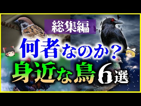 繁殖するウジ虫は象徴的な鳥を救うことを目的としている