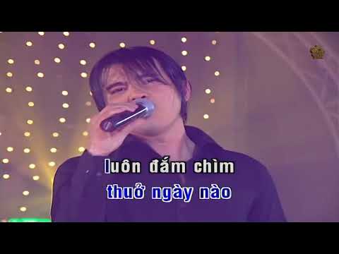 Tôi Đã Lầm Yêu Em - Karaoke -  Lam Hung