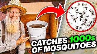 This Amish Mosquito Trap Catches 1000s of Mosquito