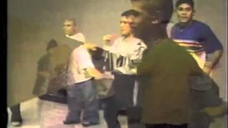 The Stevens - Teenage Satellites