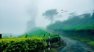 nikhilvijayan
