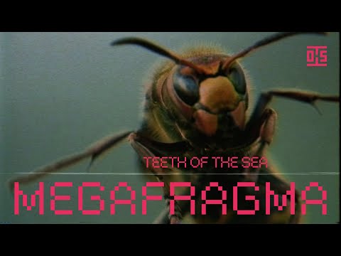 Teeth of the Sea – Megafragma