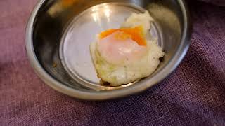 ダックスフント　子犬　目玉焼き　朝ごはん　食事