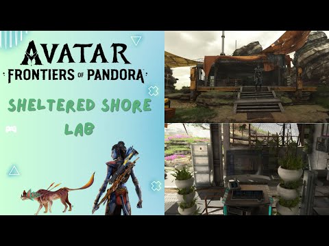 How to Complete Sheltered Shore Lab Objective - Avatar Frontier of Pandora