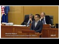 Sabor RH Branimir Bunjac ŽZ NaInzulinu Com