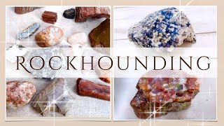 【天然石】お友達のお庭で鉱物採集をしてみた!からの、小さなターコイズ探し | Rockhounding in a friend's yard & Finding tiny turquoise