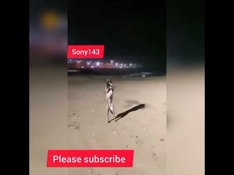 mamuni thei thei #odia #viral #shortvideo dog dance❤️❤️❤️❤️