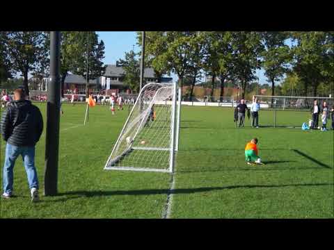 Brandevoort  JO8-1 - Berghem Sport JO8-1 (2-5) samenvatting