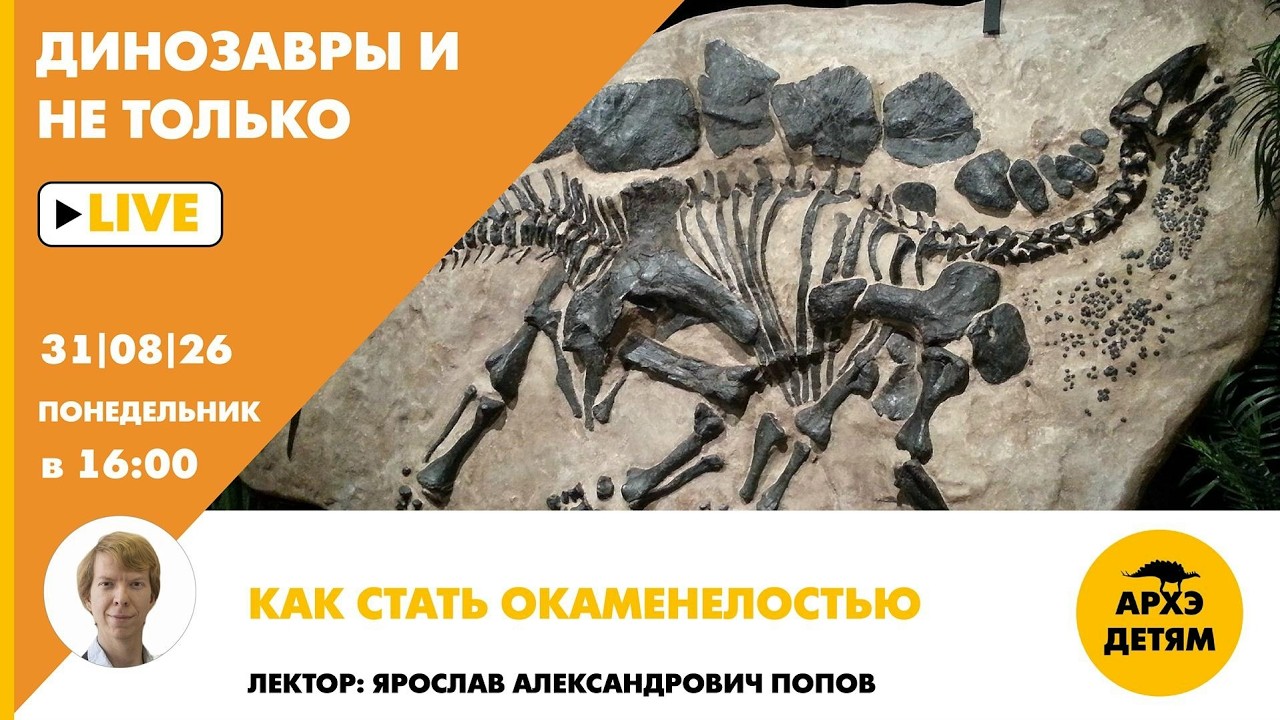 Занятие «Как стать окаменелостью» рубрики "Динозавры и не только" с Ярославо