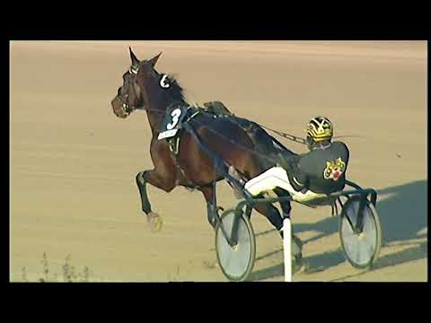 Trotto 27/11/2020 - 5ª corsa