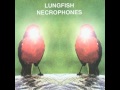 Lungfish - Necrophones (2000) [Full Album]