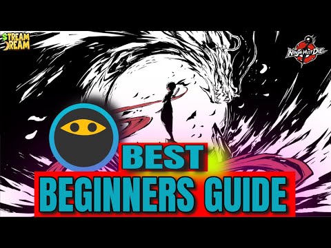 BEST Beginners Guide & Code Ninja Must Die
